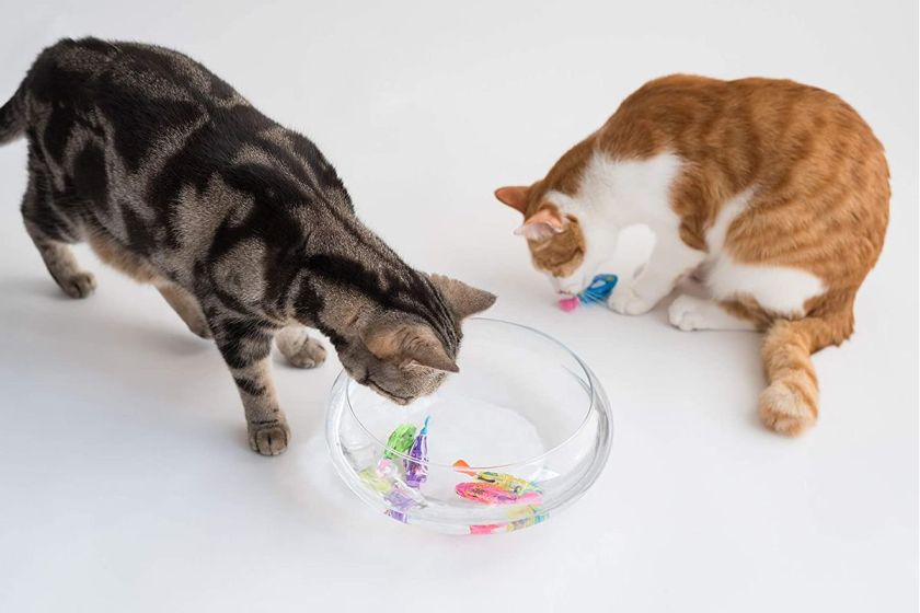 The Swimming Fish Cat Toy Is the Best Cat Toy of 2021