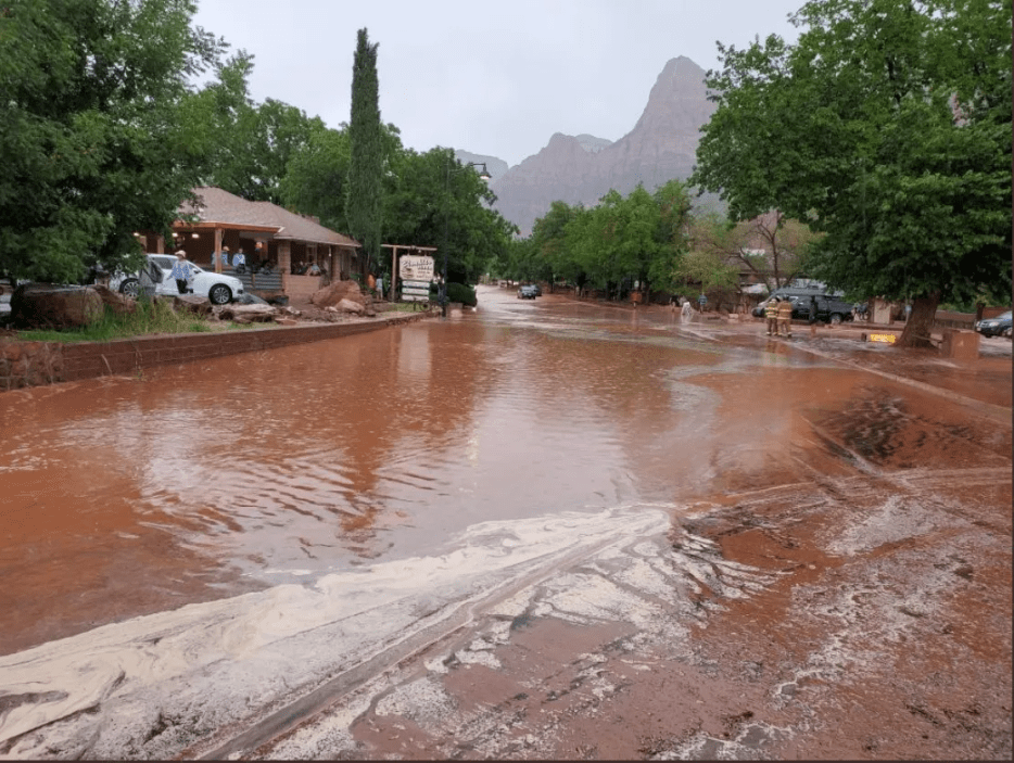 Zion National Park Flash Flood See Photos of the Aftermath and Cleanup