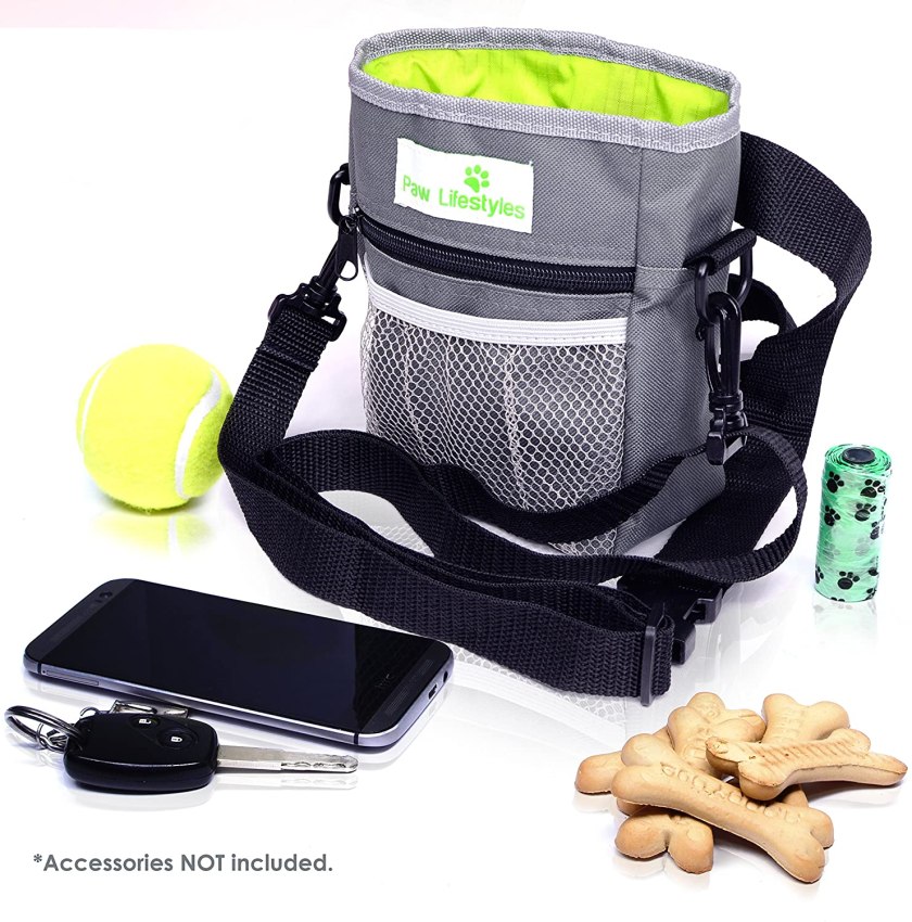 Dog Treat Training Pouch