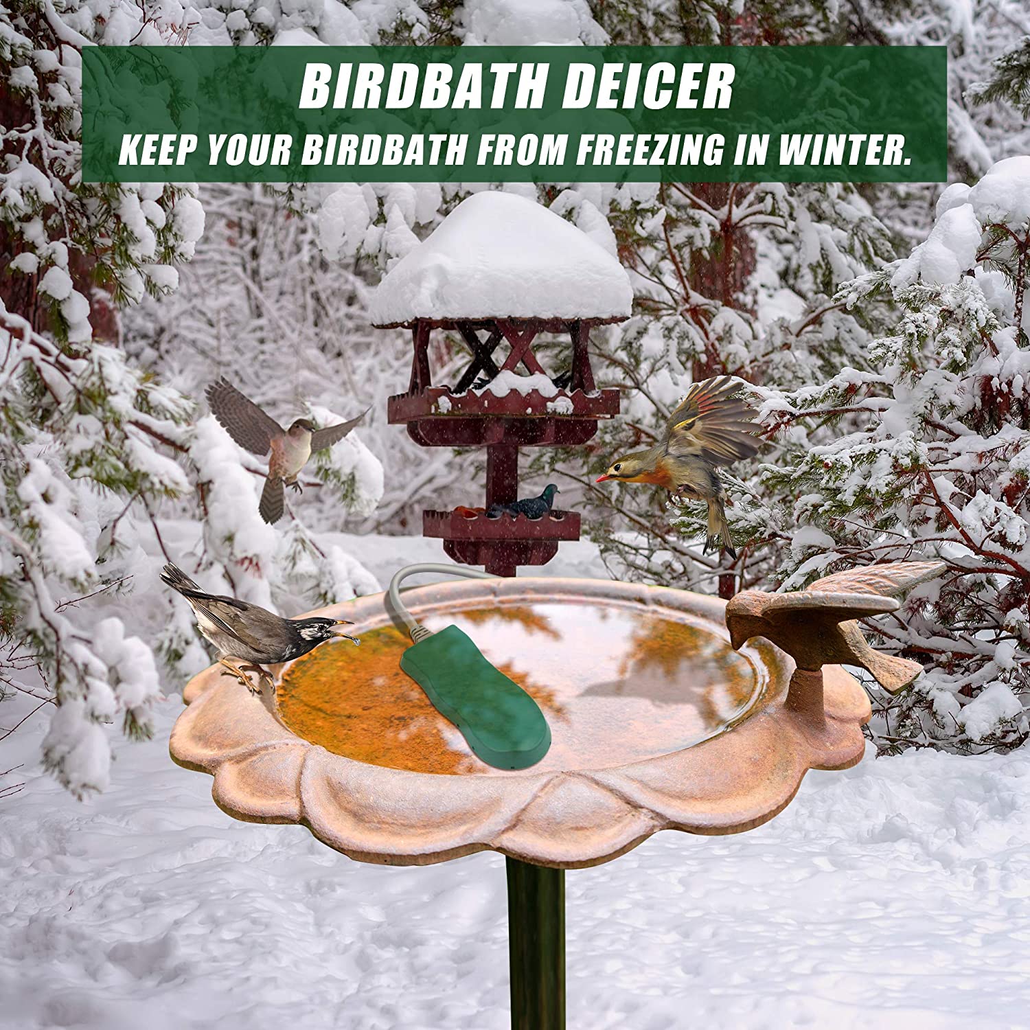 heated bird bath