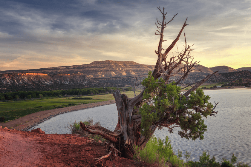 10 Best State Parks in Utah for Camping, Hiking, and AllAround Adventure