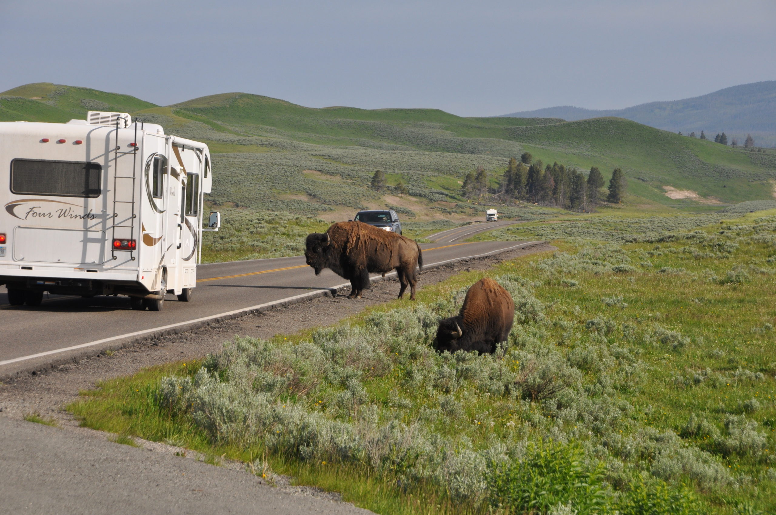 National Parks