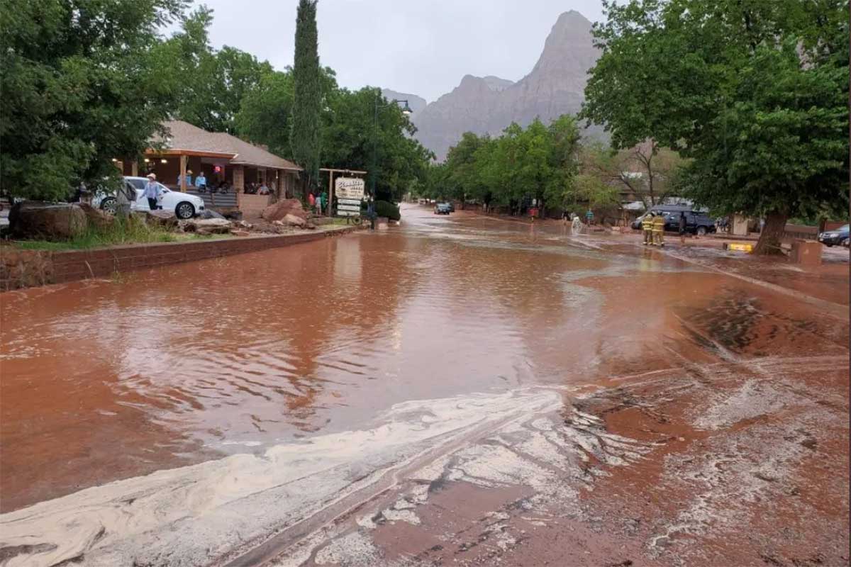 Zion National Park Flash Flood See Photos of the Aftermath and Cleanup Wide Open Spaces