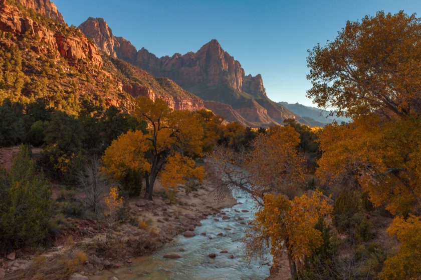 Zion National Park in the autumn with the Watchman in the background.