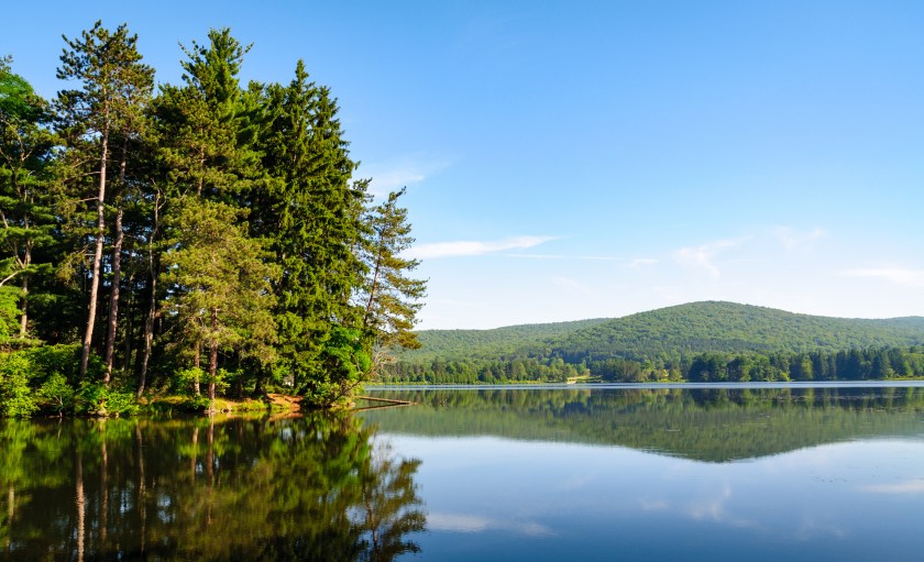 Allegany State Park