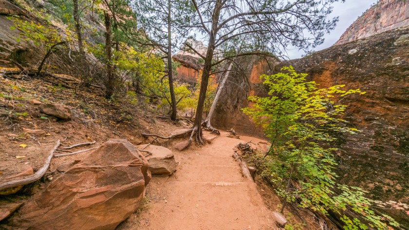 EMERALD POOLS TRAIL, Zion National Park, Utah, USA