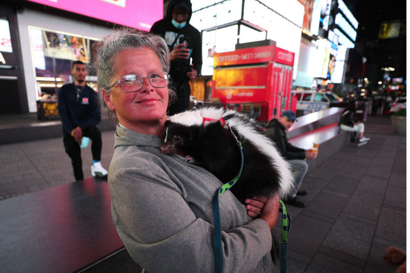 Pet skunk and owner in Times Square, New York