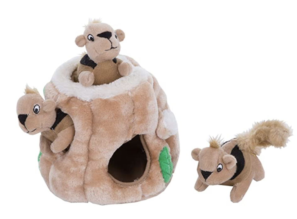 Squirrel Puzzle Squeaky Dog Toy