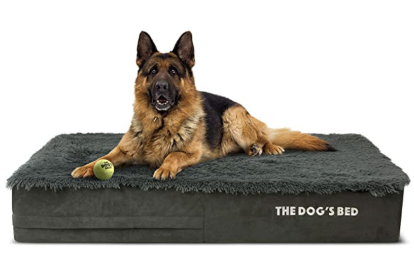 indestructible dog bed