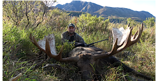 Watch: Alaska Hunter Drops Bull Moose at Long Range
