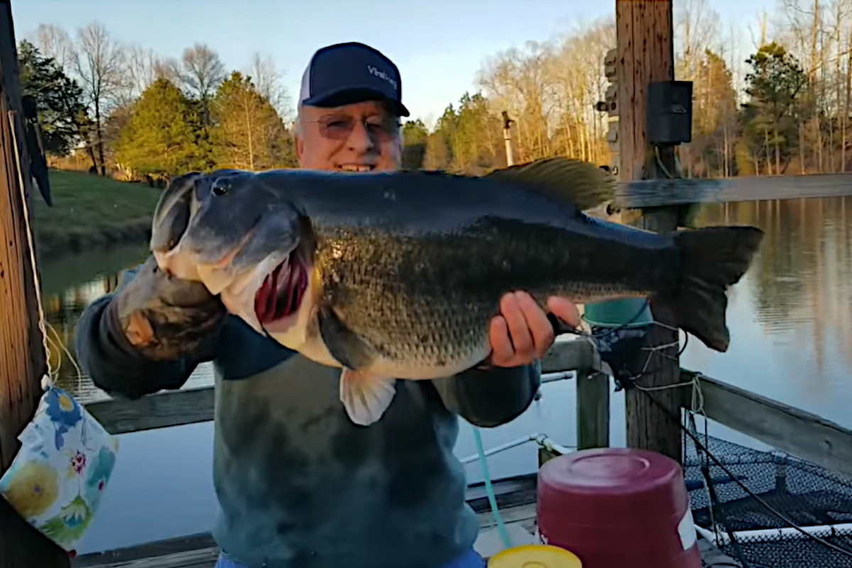 Man Grabs Monster, 16-Pound Bass Off Dock By Hand - Wide Open Spaces