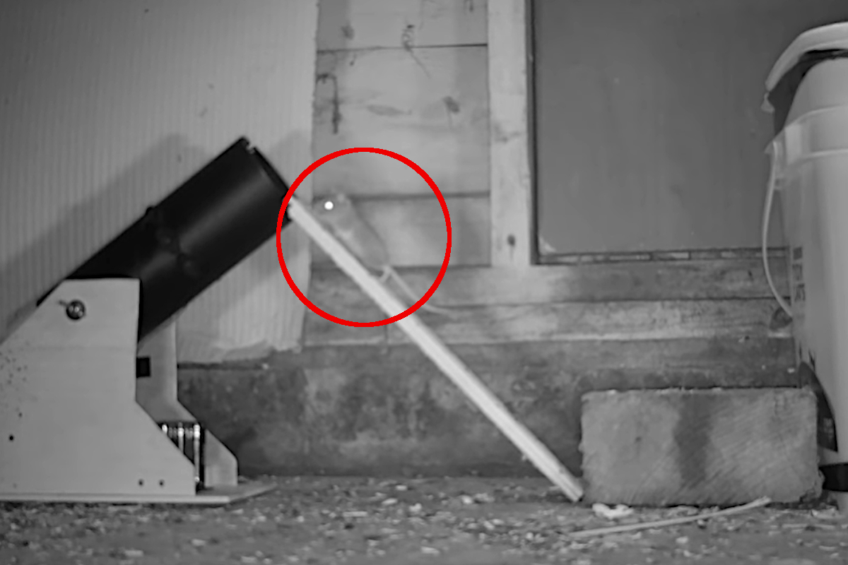 Cannon Mouse Trap