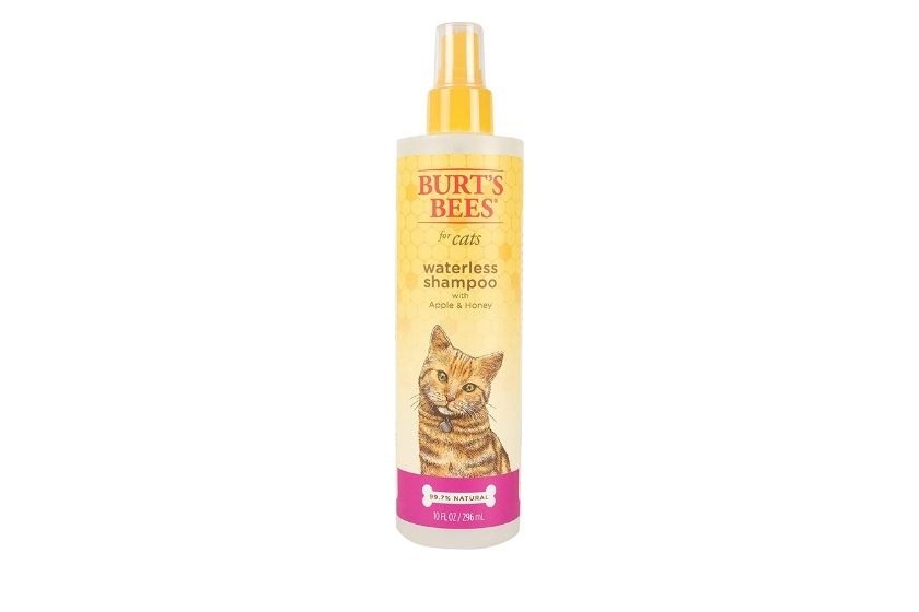 dry shampoo for cats