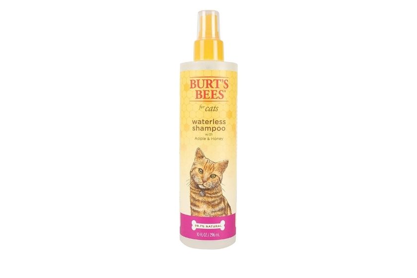dry shampoo for cats