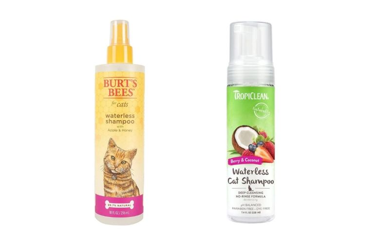 Dry Shampoo for Cats 3 Best of 2022 Under 10 for Dry Skin (Waterless)