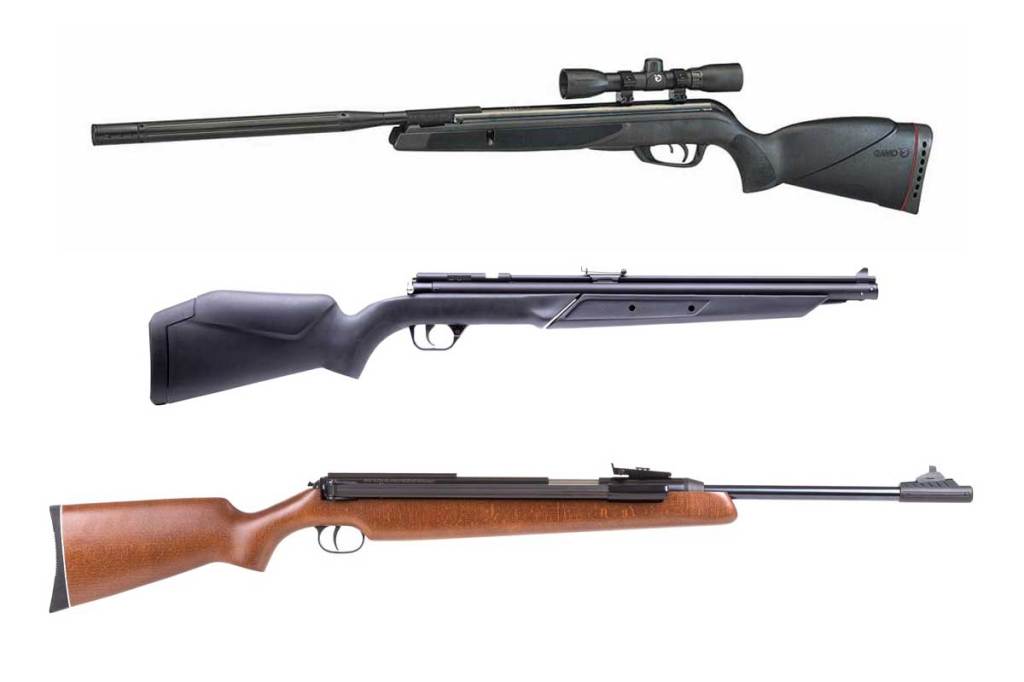 Best Pellet Guns 5 Air Guns Great for Small Game Hunting