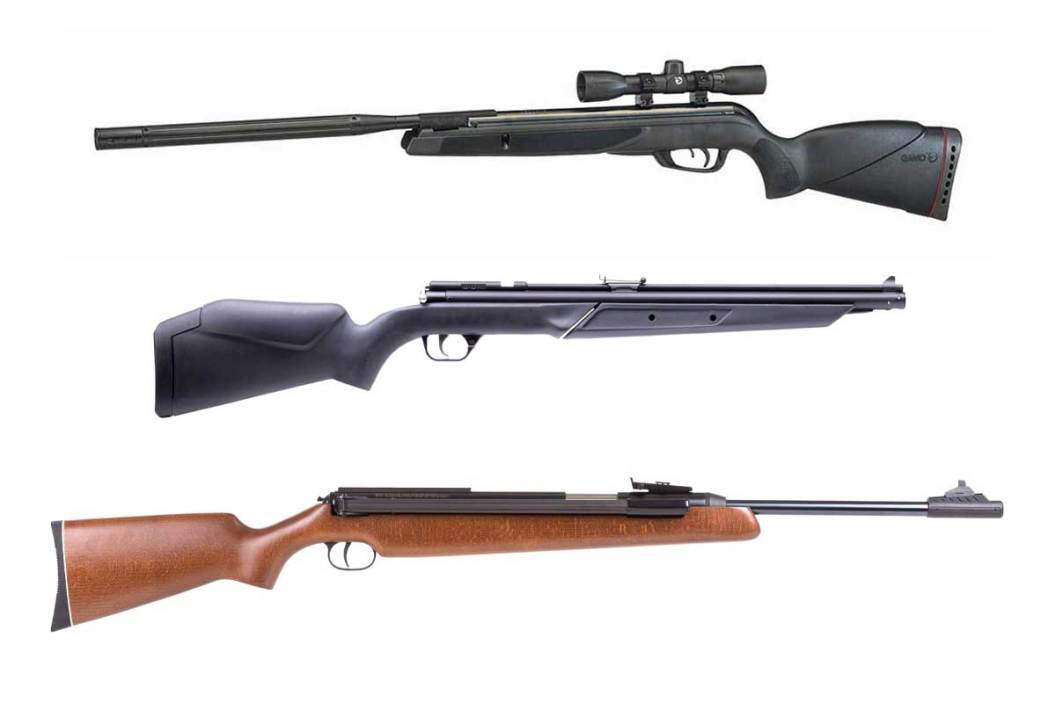 Best Pellet Guns 5 Air Guns Great for Small Game Hunting