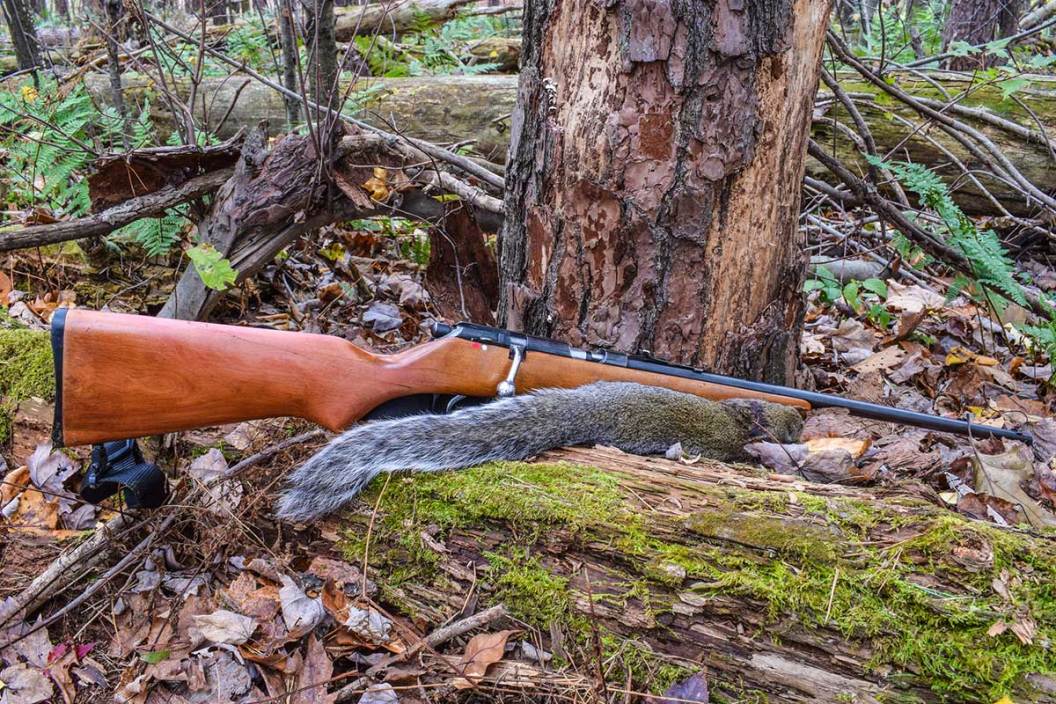 hunted squirrel and bolt action rifle on a log in the woods