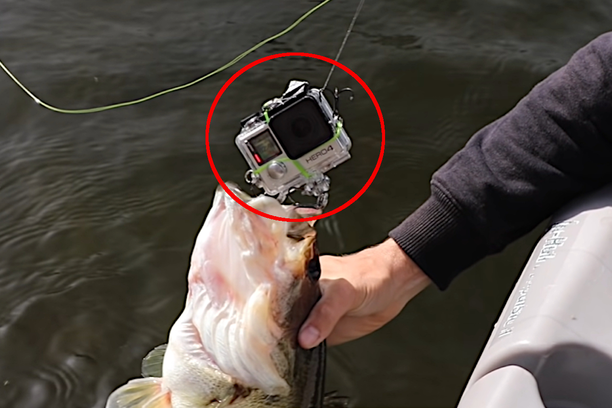 Angler Rigs GoPro As a Fishing Lure and Catches a Bass On It - Wide Open  Spaces
