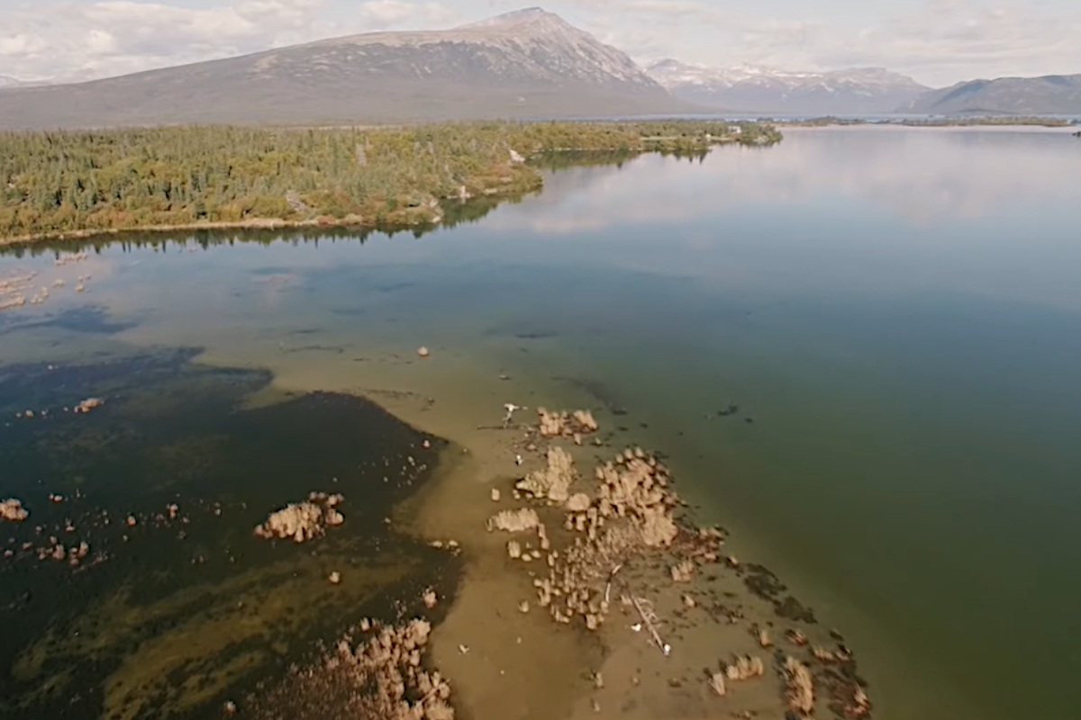 Iliamna Lake Monster