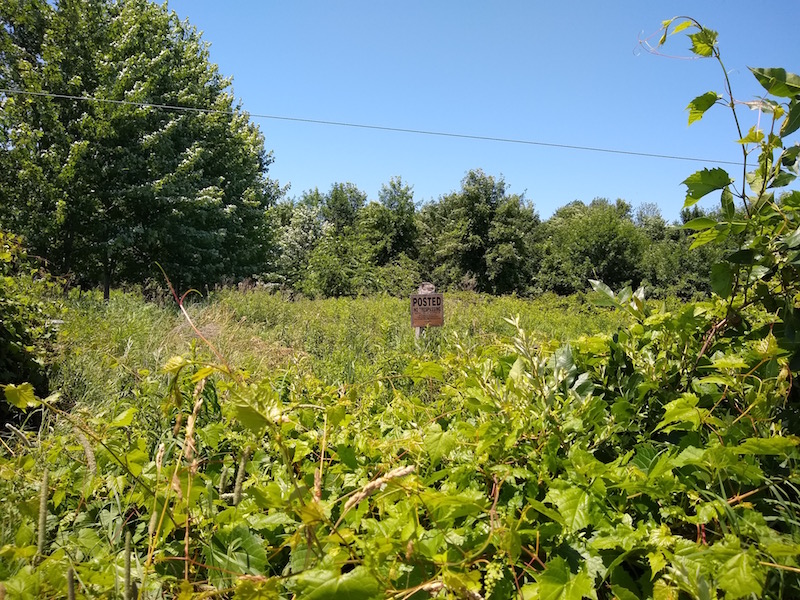 Trespassing Laws in New York Explained for Outdoorsmen Wide Open Spaces