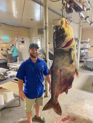 Bighead Carp World Record