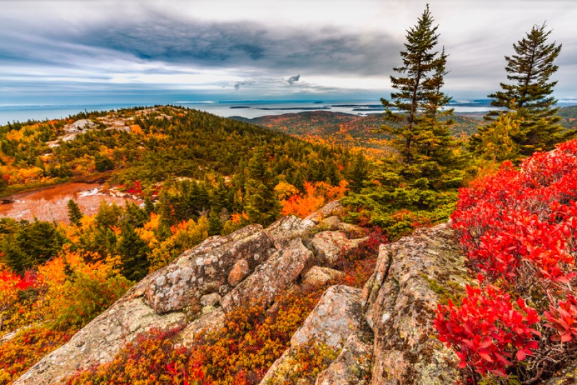 Orange red and yellow colors of the trees and plants in Acadia National Park in October