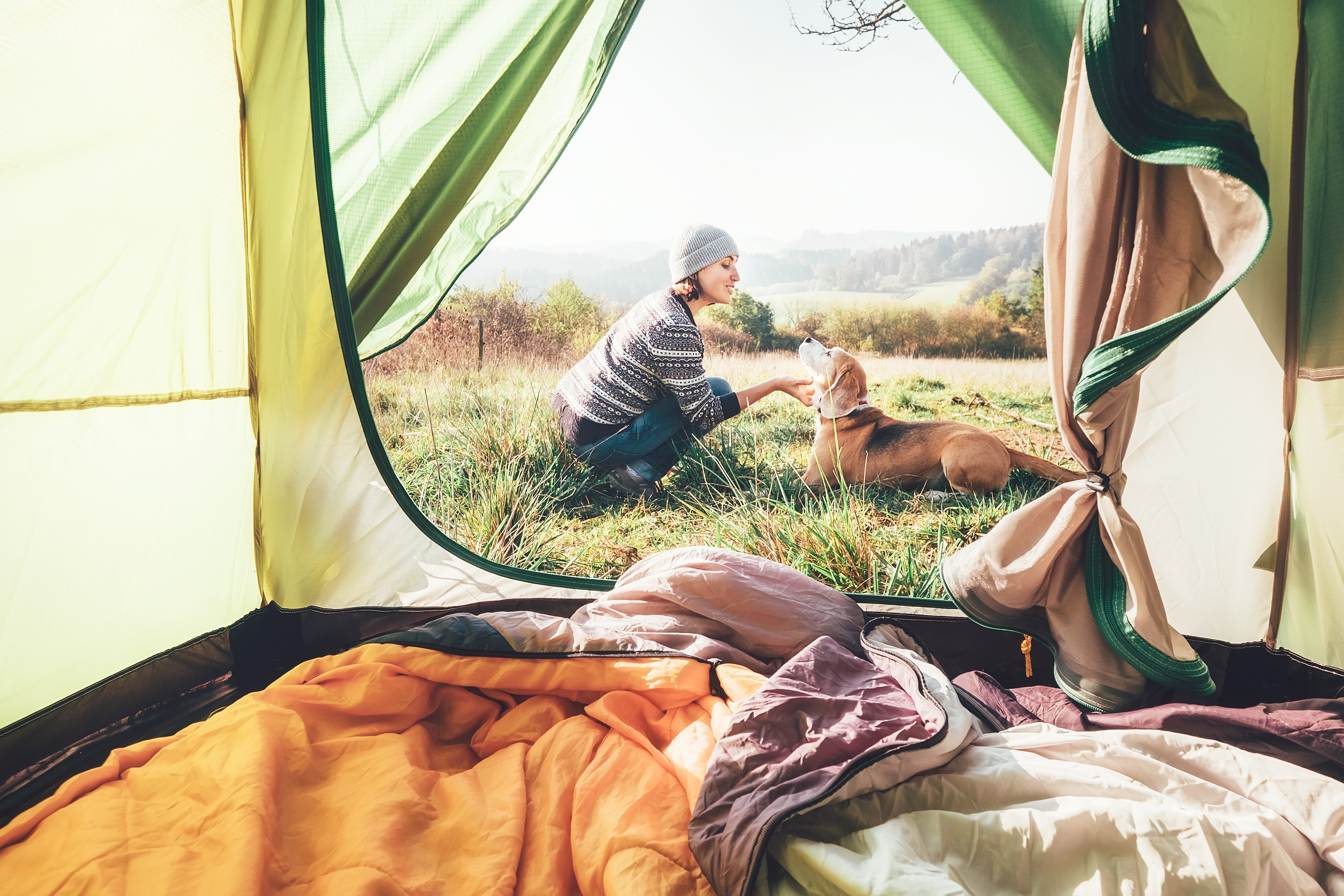 Woman pand her dog tender scene near the camping tent. Active leisure, traveling with pet concept image