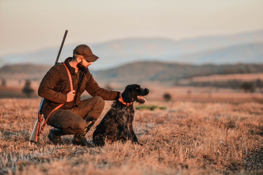 Young man hunting with german wirehaired pointer. The best friends.