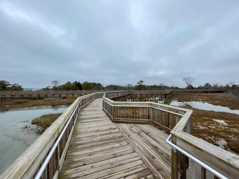 Assateague Island Boardwalk