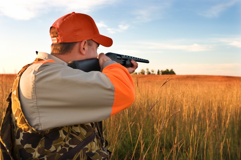 Hunter aiming rifle in field