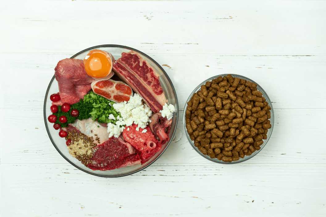 Benefits of Raw Dog Food Diets How To Make Your Own at Home