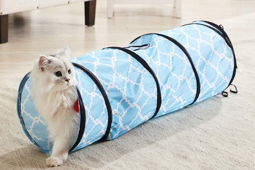 simple pet tunnel tube with cat