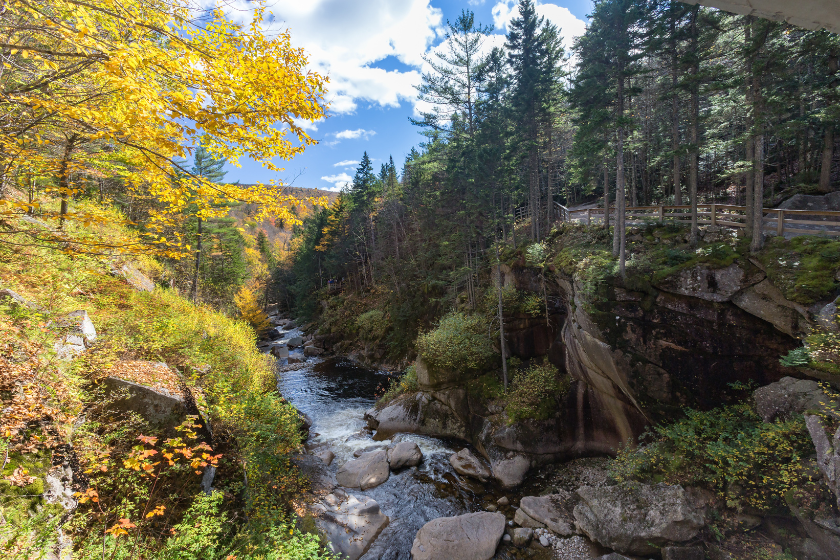 water stream and falls in franconia notch state park, new hampshire, usaWooden walkway and steps along the Flume Gorge in Franconia Notch State Park, New Hampshire, USA.