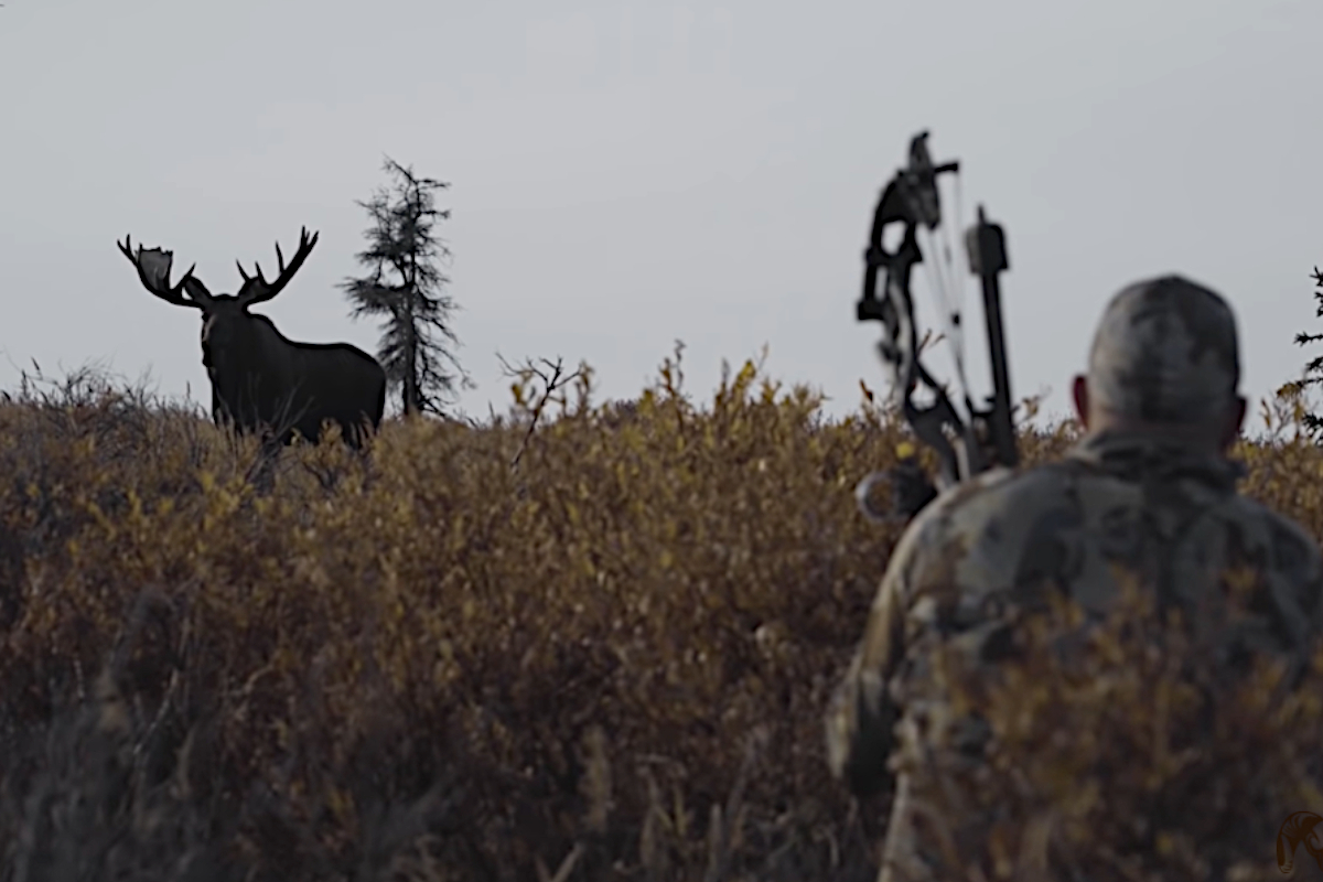 Alaskan Moose Hunt