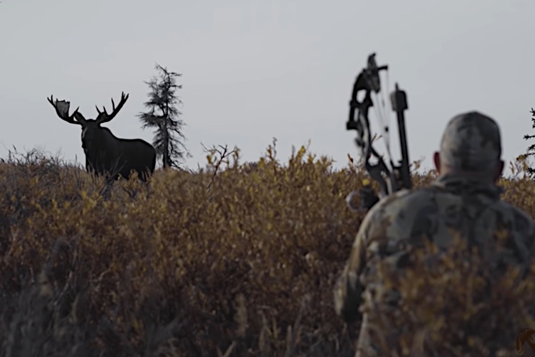 Alaskan Moose Hunt