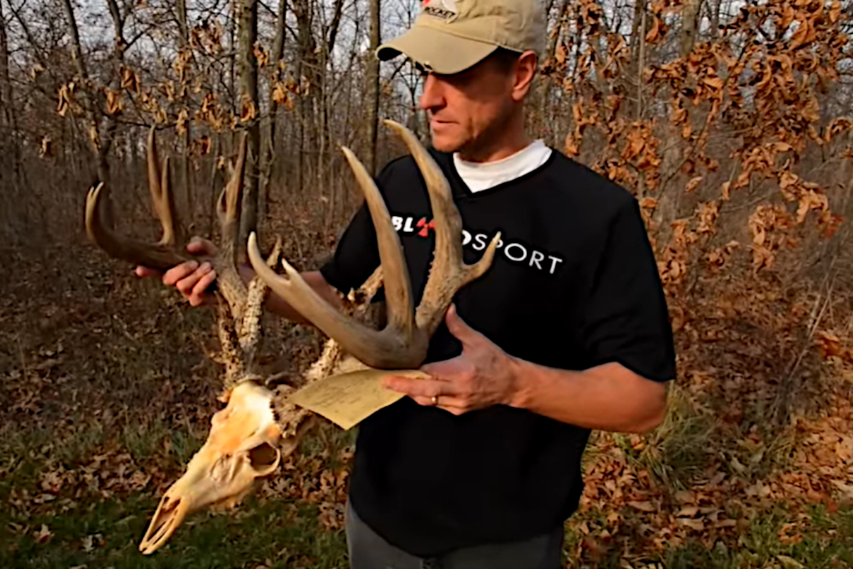 10 Common Whitetail Deer Diseases That Are Plaguing Herds Nationwide