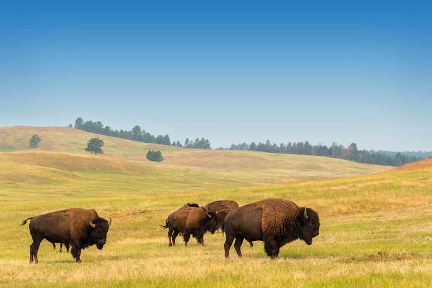 Best State Parks
