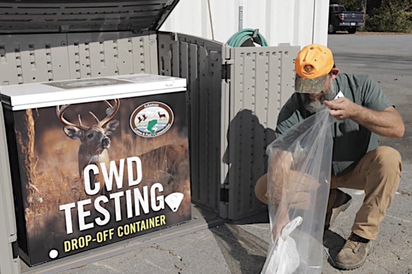 Can Humans Get CWD? The Facts on This Deadly Deer Disease Wide Open Spaces