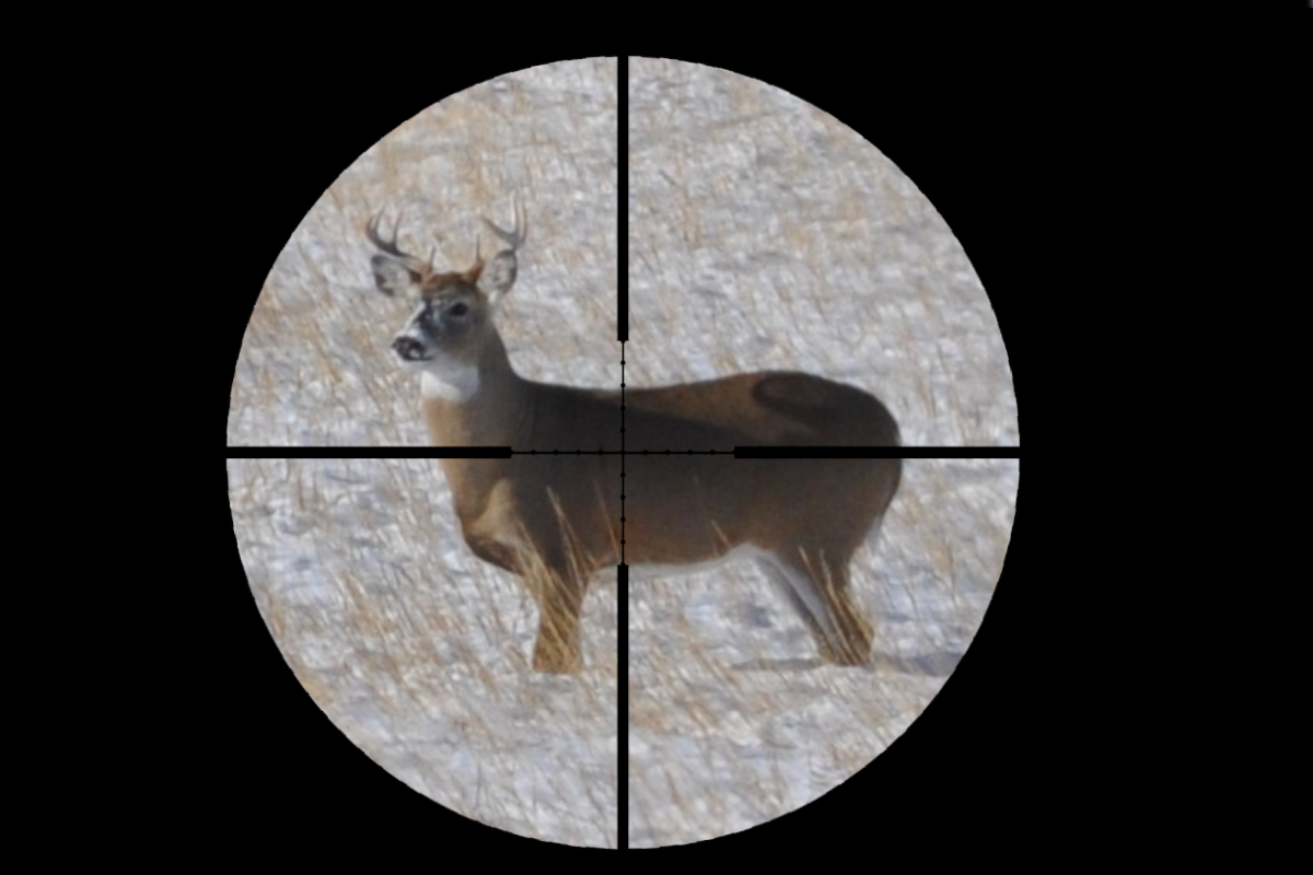 Deer Lung Shot Why We Aim For The Lungs When Deer Hunting deer-lung-shot-why-we-aim-for-the-lungs-when-deer-hunting
