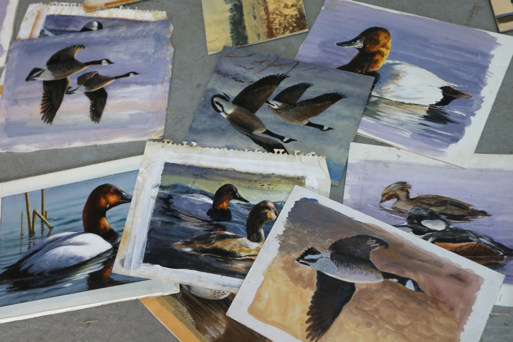 Duck Stamp Contest