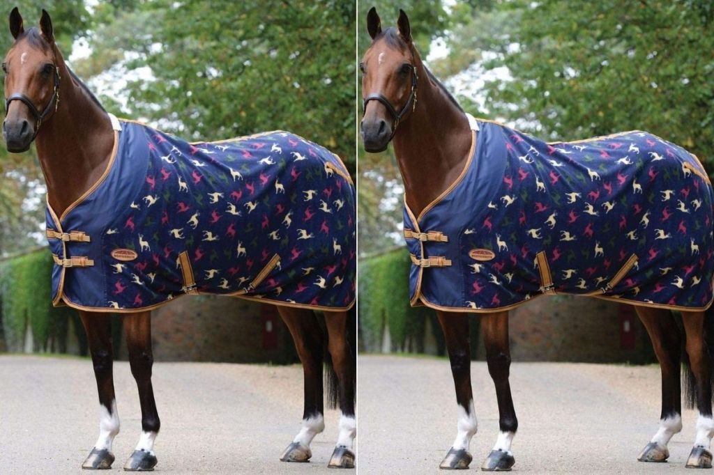 3 Best Horse Cooling Blankets of 2021 for PostExercise Recovery