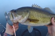 Kayak Angler Lands Two Bass on Same Cast Using a Bird Lure - Wide Open  Spaces