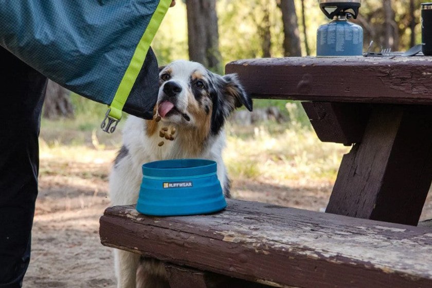 ruffwear dog food bowl while camping