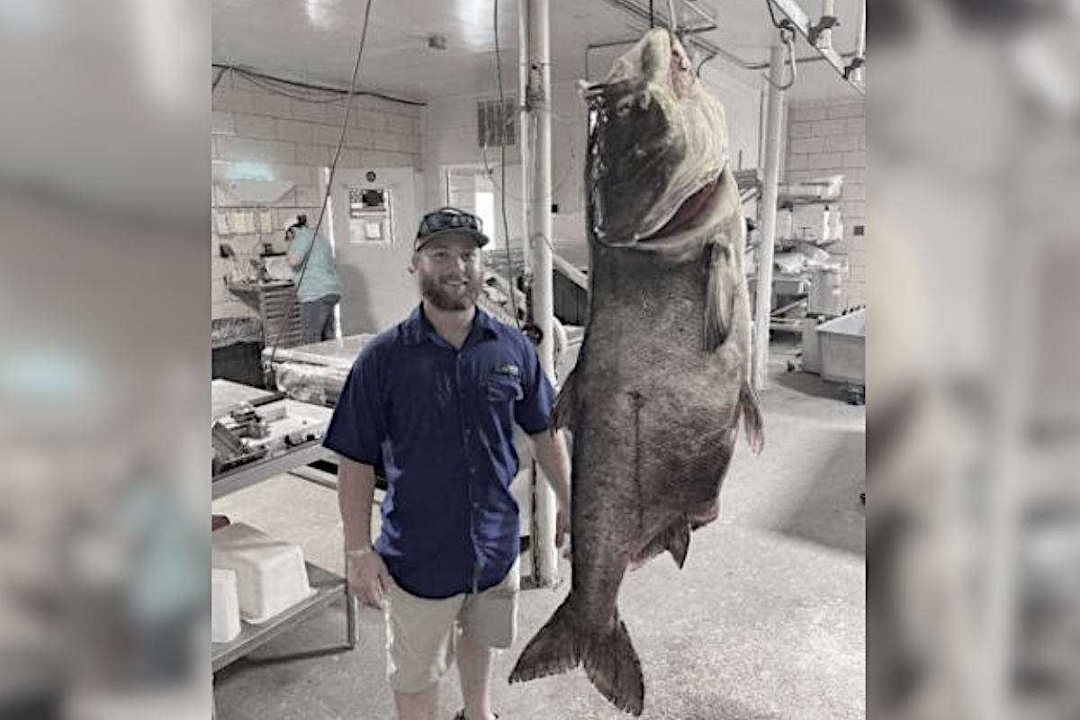 Missouri Angler Harvests 125-Pound World Record Bighead Carp While
