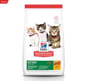 best kitten food