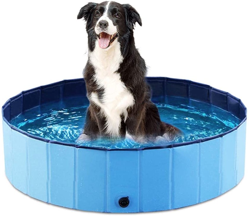 Portable Dog Tub