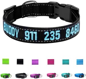 cool dog collars