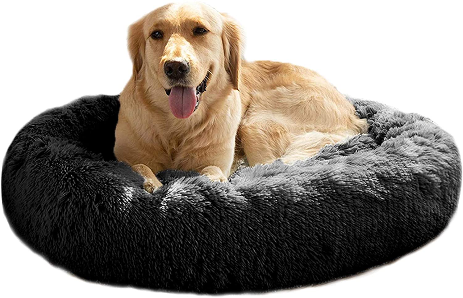 calming dog bed