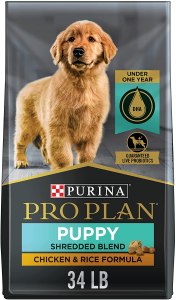 high protein puppy food